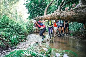 BIB: 
                            <button type="button" onclick="openModal(25475398)" class="btn btn-primary btn-sm float-right btn-popup" data-toggle="modal" data-target=".modal-high-quality">
                        <i class="fas fa-shopping-cart"></i> Add to Cart
                    </button>
                                            <button type="button" onclick="isThisMe(25475398, true)" class="btn btn-success btn-sm float-right btn-popup btn-isme hidden" data-toggle="tooltip" data-placement="bottom" title="นี่คือรูปของคุณใช่ไหม คลิกที่นี่เพื่อเอาเข้าอัลบั้ม">
                        <i class="fas fa-plus"></i> Add to album
                    </button>
                    <button type="button" onclick="isThisMe(25475398, false)" class="btn btn-warning btn-sm float-right btn-popup btn-isnotme hidden">
                        <i class="fas fa-ban"></i> Remove from album
                    </button>